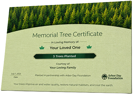 Plant Trees in Memory of Don Smith